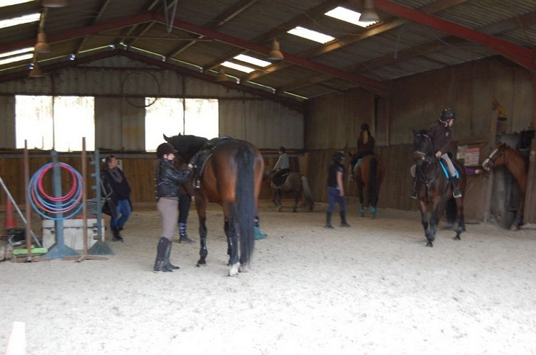 ourismesologne-romorantin-équestre-écuriesdesnoues-entretien