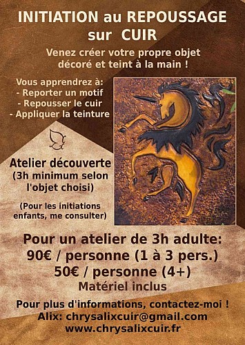 flyer stage adultes