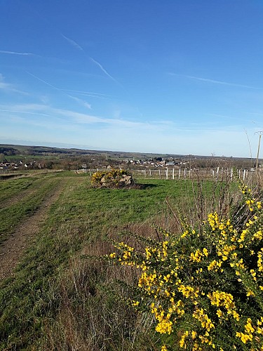 Vue depuis le plateau de vignes