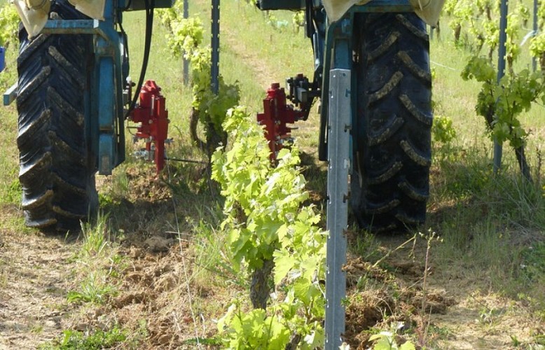 domaine de la méchinière