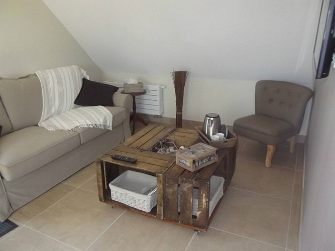 chez_severine_ch_dhotes_Salon2