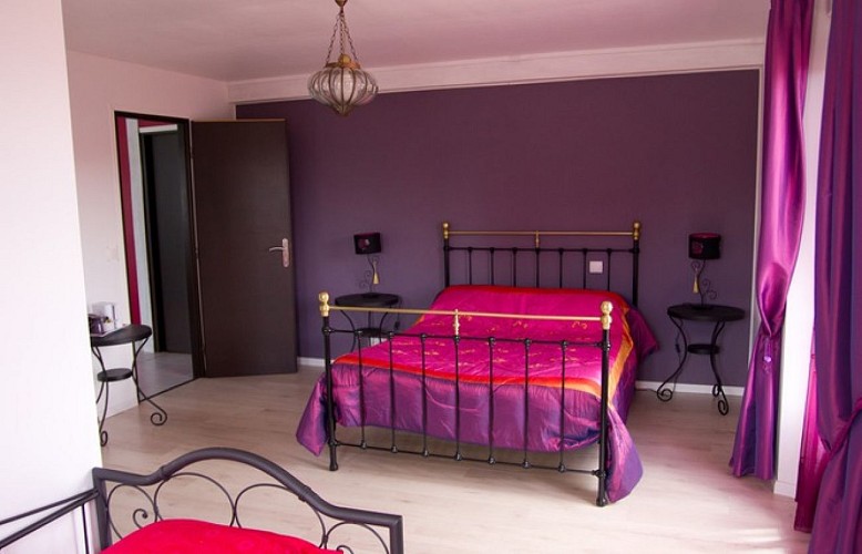 chambre hotes_la vigneuraie de meusnes_meusnes