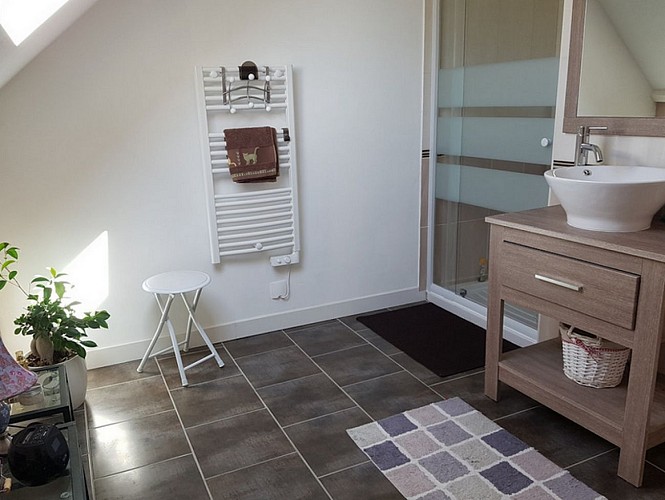 solognetourisme-romorantin-gite-cheznini-salledebain