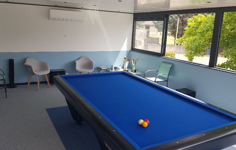 solognetourisme-romorantin-chambrehote-cheznini-billard