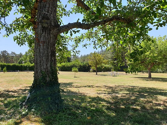 Jardin_2