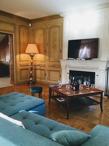 Salon-grande-TV-scaled