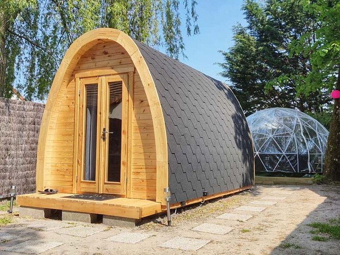 solognecotesud-gites-pruniers-lesatypiquesdesologne-nature