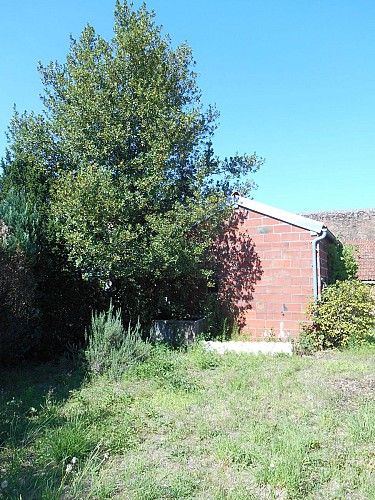 HLO-Vert-Laurelias-Pierrefitte-sur-Sauldre-Laurier terrain