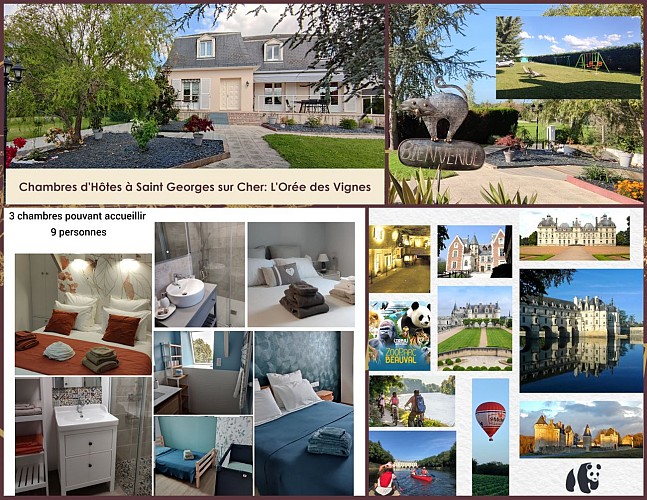 Présentation l'Orée des Vignes