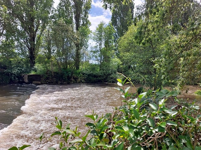 Camping de Savigny-sur-Braye