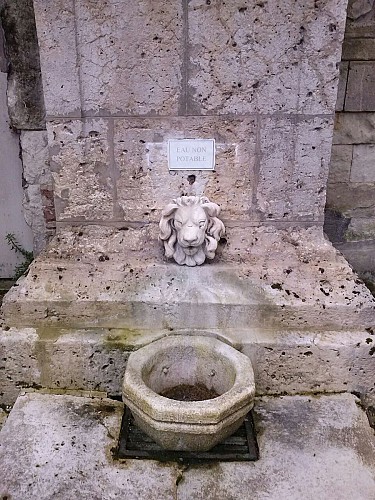Fontaine Saint-célerin