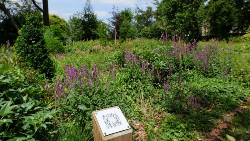 Parc du Château de Vendôme