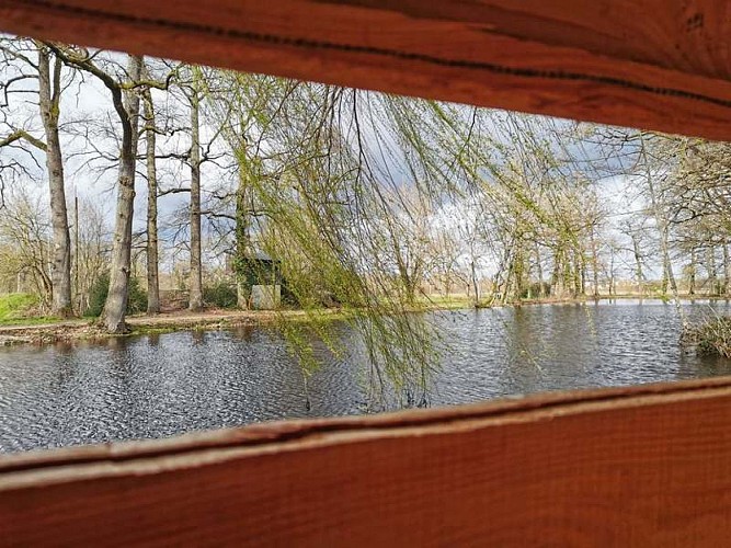 sologne-tourisme-patrimoine naturel-romorantin-bioparc2