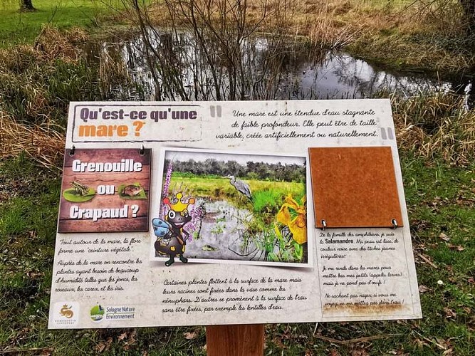 sologne-tourisme-patrimoine naturel-romorantin-bioparc4