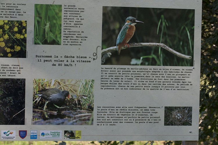 sentier-nature-chateauvieux-sudvaldeloire-©G.Abadie
