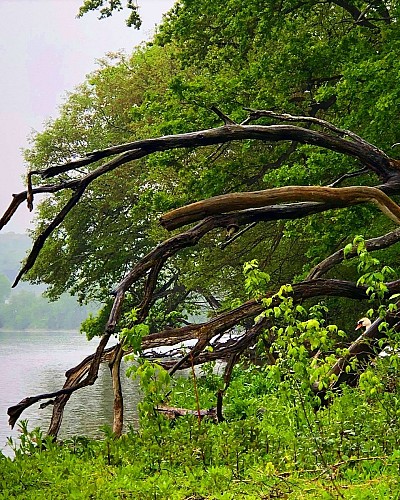 Screenshot_20190604-124434_Instagram