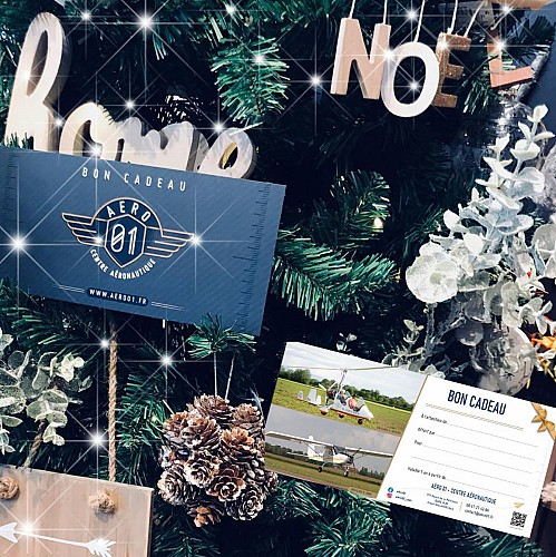 Ecole de Pilotage dans l'Ain - Avion et Autogyre Ultra Leger - Initiations et formations de pilotes - REGION ARA -