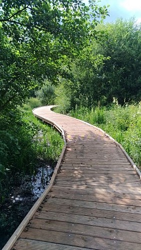 DONTREIX_ Etang Neuf