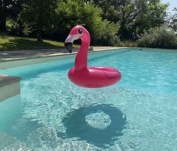 lauzun-au coeur des acacias-piscine flamant rose