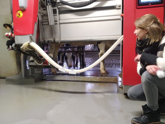 La Ferme des Délices Foréziens