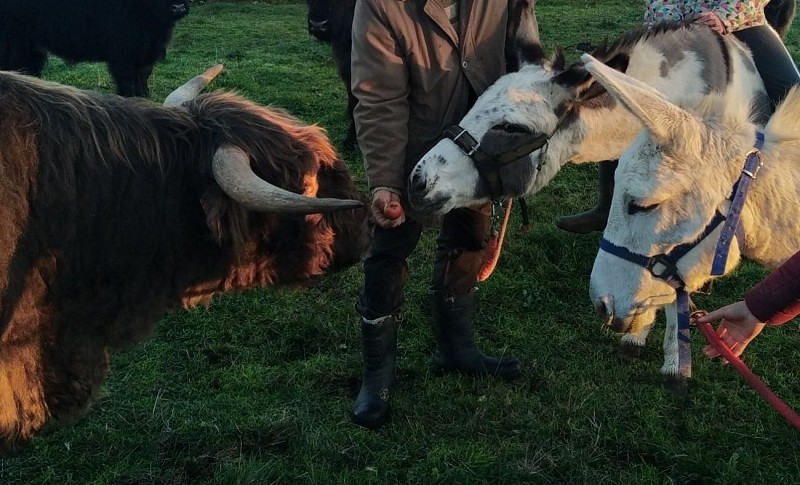 Les Jardins de Haute-Auvergne