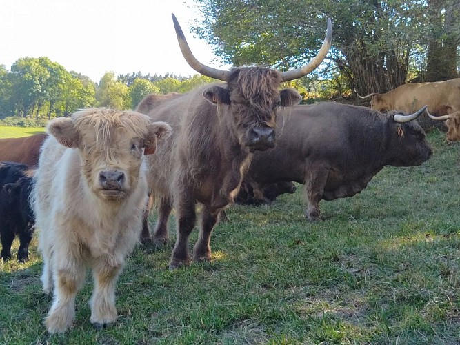 Les Jardins de Haute-Auvergne