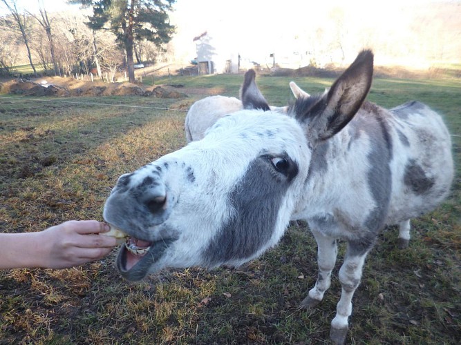 Les Jardins de Haute-Auvergne