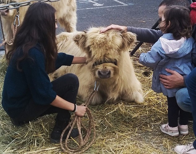 Les Jardins de Haute-Auvergne