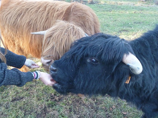 Les Jardins de Haute-Auvergne