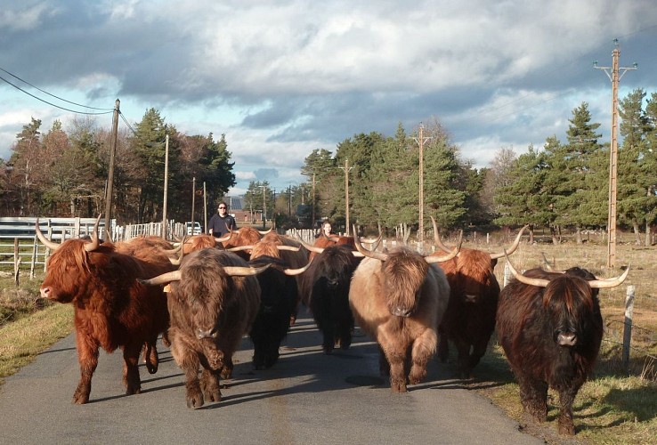 Les Jardins de Haute-Auvergne