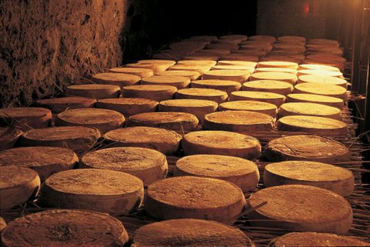 Maison du fromage
