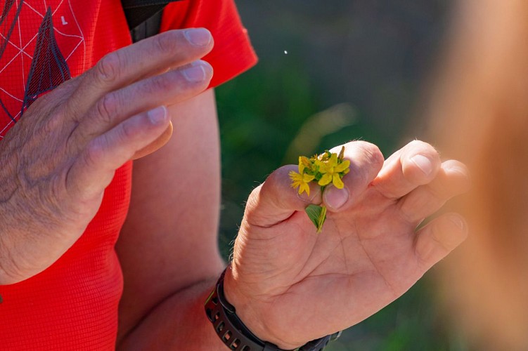 Frédéric Dompnier - Accompagnateur en montagne