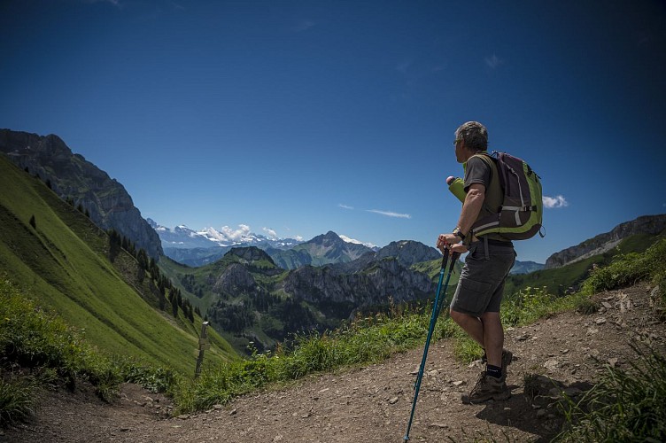 Alp'Evianature - Ufficio Guide