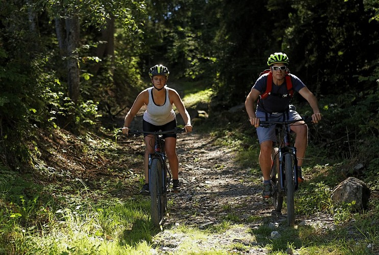 Location VTT à Assitance Électrique (VTTAE)