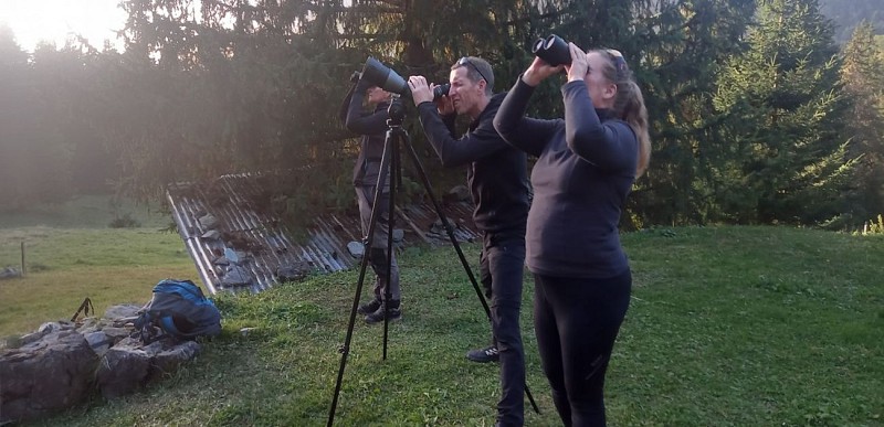 Randonnée découverte