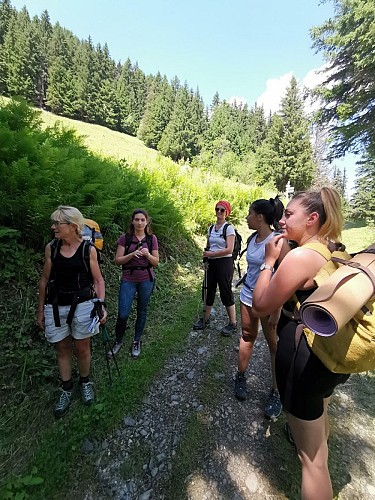 Randonnée découverte