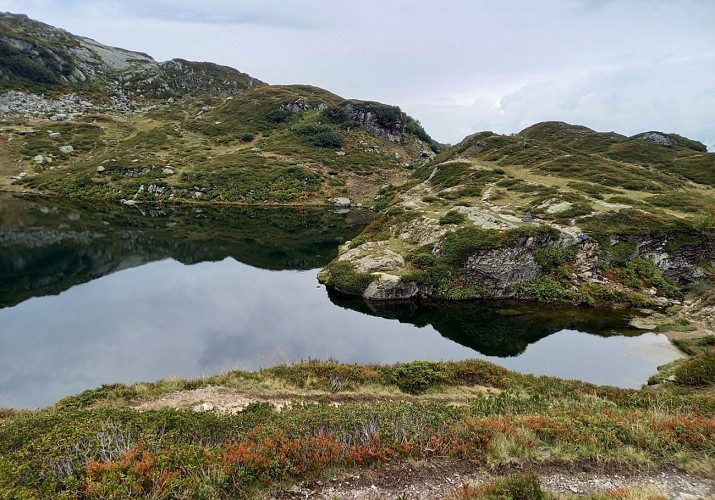 Randonnée découverte