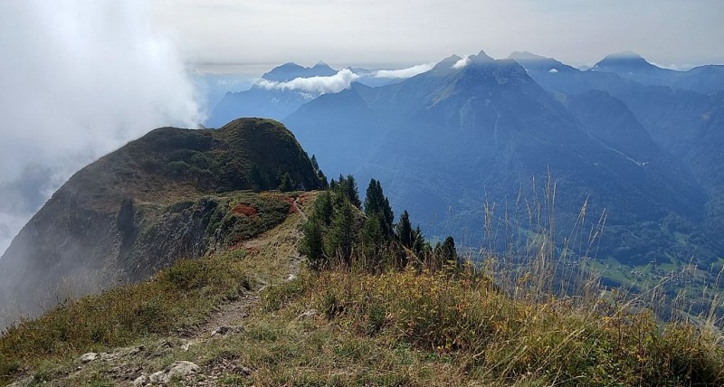 Randonnée découverte