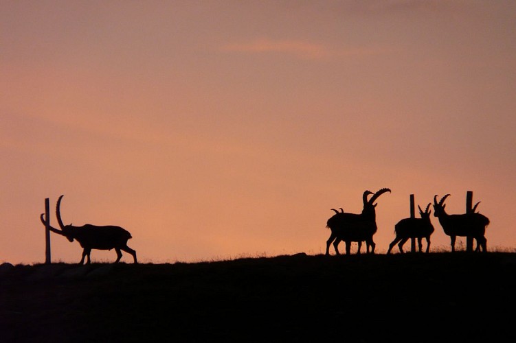 Bureau Montagne Art'itude