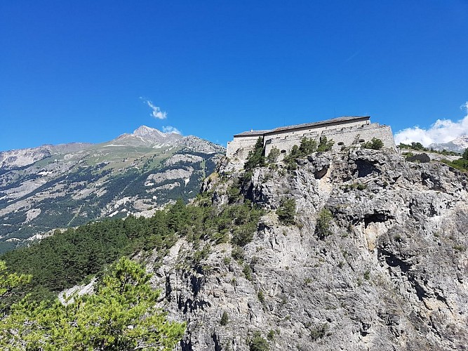 Spazio delle incisioni rupestri