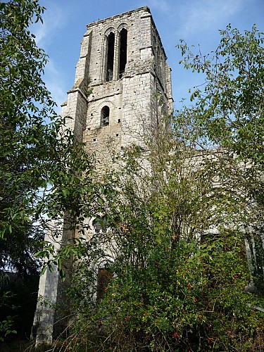 Etang et vestiges de l'Eglise Saint-Thomas-de-Cantorbéry