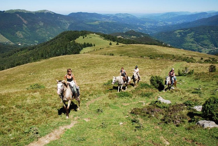 2737-randonnee-equestre--haute-garonne-midi-pyrenees-2763-ph1-20160127-091945.jpg_det1