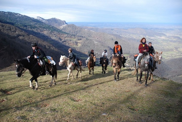 cavalcagire 1 CHEIN DESSUS