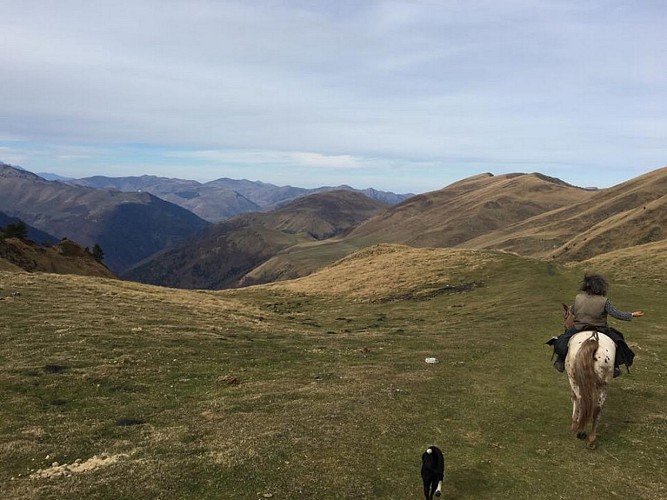 cavalcagire CHEIN DESSUS