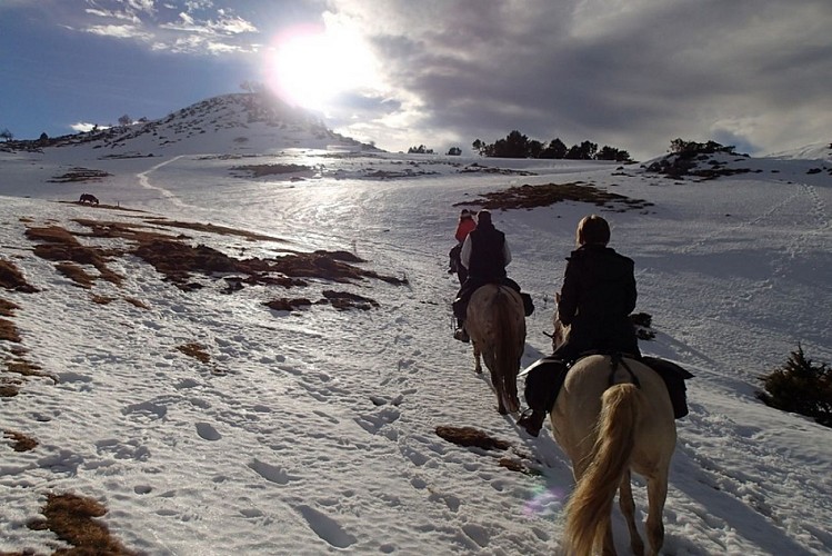 cavalcagire 4 CHEIN DESSUS