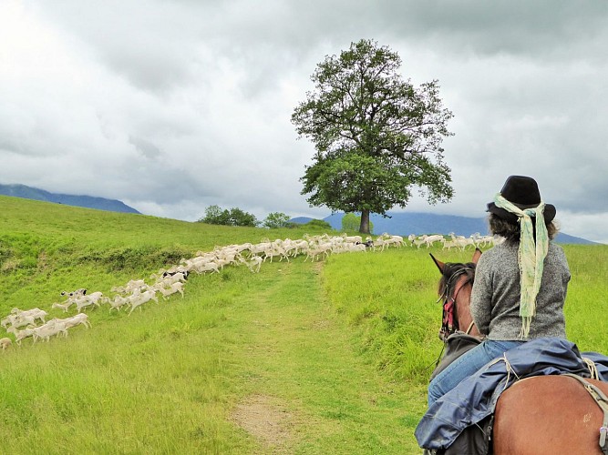 Copie-de-GUIDE---CAVALCAGIRE