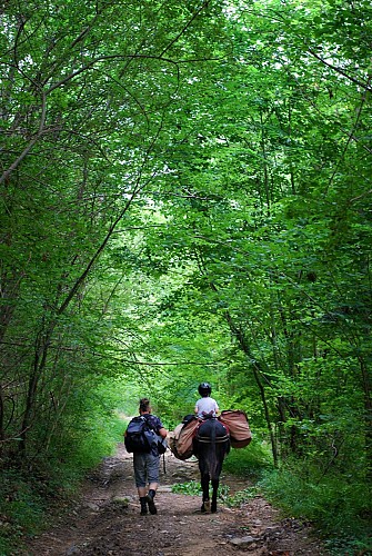 ferme oulan bat 3 ARBAS