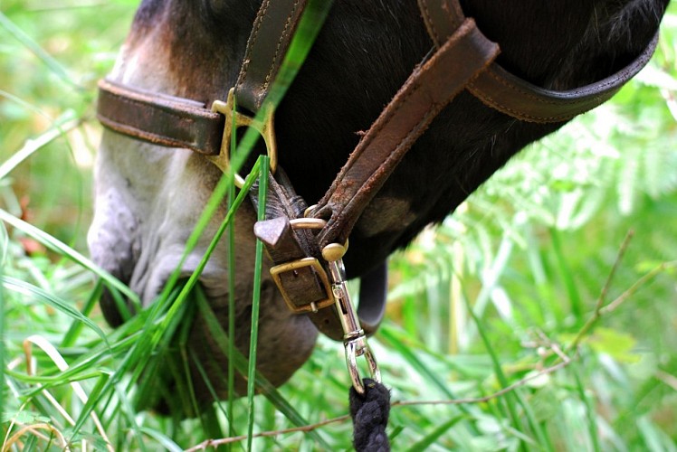 ferme oulan bat 2 ARBAS