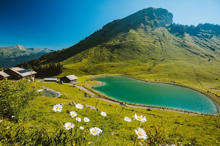 Lac de Nyon-Guérin