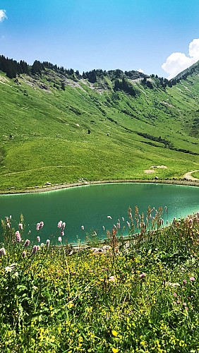 Lac de Nyon-Guérin